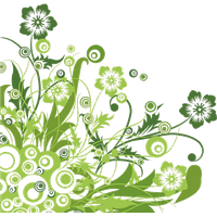 Vector Flower Green Free Download PNG HD