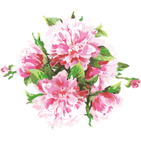 Pink Watercolor Flowers Vector Free Clipart HQ