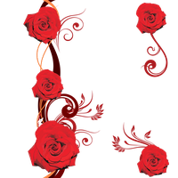 Vector Rose Flowers Red PNG Free Photo