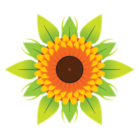 Vector Sun Flower PNG Image High Quality