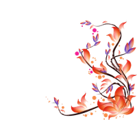 Tropical Flower Vector PNG Free Photo