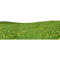 Field Grass Agriculture Free Clipart HD