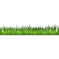 Field Grass Agriculture Free HD Image