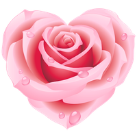 Heart Flower Free Download PNG HQ