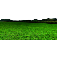 Field Grass Landscape Free Transparent Image HD