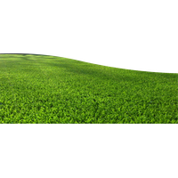 Field Grass Landscape PNG Image High Quality