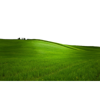 Field Green Landscape PNG Download Free