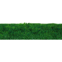 Field Grass Mat Download HQ