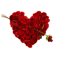 Heart Flower Red Free HD Image
