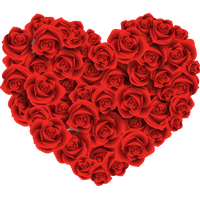 Heart Flower Red Free Download PNG HQ