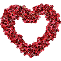 Heart Flower Red Photos Free HD Image