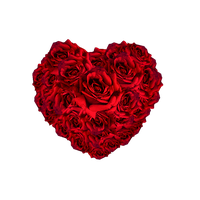 Heart Flower Red PNG Free Photo