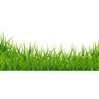 Summer Green Field Free Transparent Image HQ