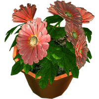 Front Pot Flower View PNG Download Free