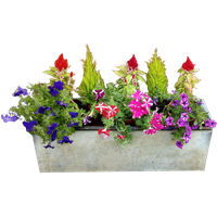 Outside Flower Pot PNG Free Photo