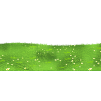 Field Grass Green PNG Image High Quality