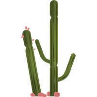 Vector Plant Cactus Green PNG Image High Quality