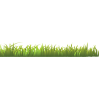 Grass Free Download PNG HD