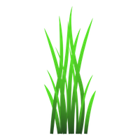 Vector Grass PNG Image High Quality