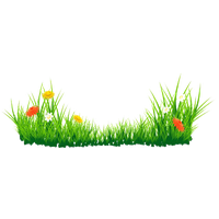 Grass Green PNG File HD