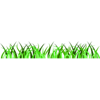 Vector Grass Green Free Download PNG HD