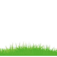 Vector Grass Green PNG File HD