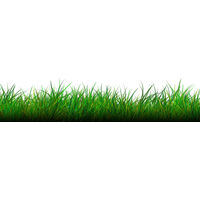 Grass Natural Free Download PNG HD