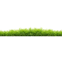 Grass Natural Free Download PNG HQ