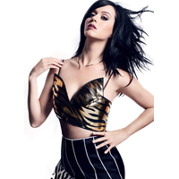 Katy Singer Perry Photos Free HQ Image