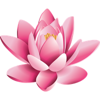 Pink Lotus Flower Pic Free Photo