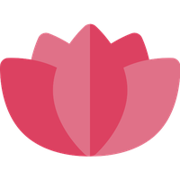 Pink Lotus Flower PNG File HD