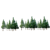 Pic Tree Forest Free Transparent Image HQ