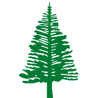 Vector Tree Forest Free HQ Image