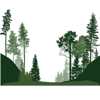Vector Tree Forest PNG Image High Quality