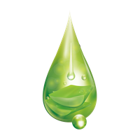 Water Drop Leaf Dew Free PNG HQ