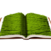 Grass Book Artificial Free PNG HQ