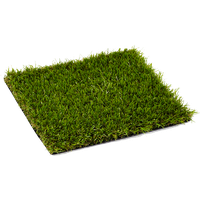Grass Artificial Carpet Free Transparent Image HD