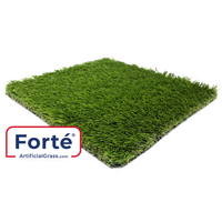 Grass Mat Artificial Free HQ Image