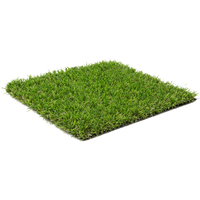 Small Grass Artificial Free HD Image