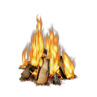 Vector Wood Pic Campfire Free HD Image