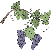 Grape Vine Leaf Art Free Clipart HD