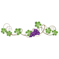 Grape Vine Leaf Art PNG Download Free