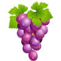 Vine Leaf Grape Free Clipart HD