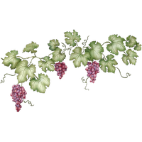 Vine Leaf Grape Free Transparent Image HD