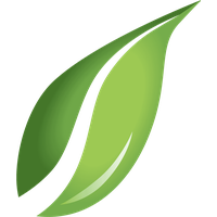Photos Single Green Leaves Free Transparent Image HQ