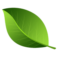 Vector Green Leafs HQ Image Free