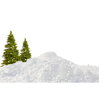 Tree Winter PNG File HD