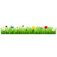 Field Meadow PNG Image High Quality