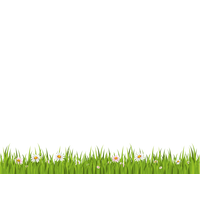 Spring Meadow Picture PNG Download Free