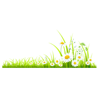 Summer Meadow Free Transparent Image HQ